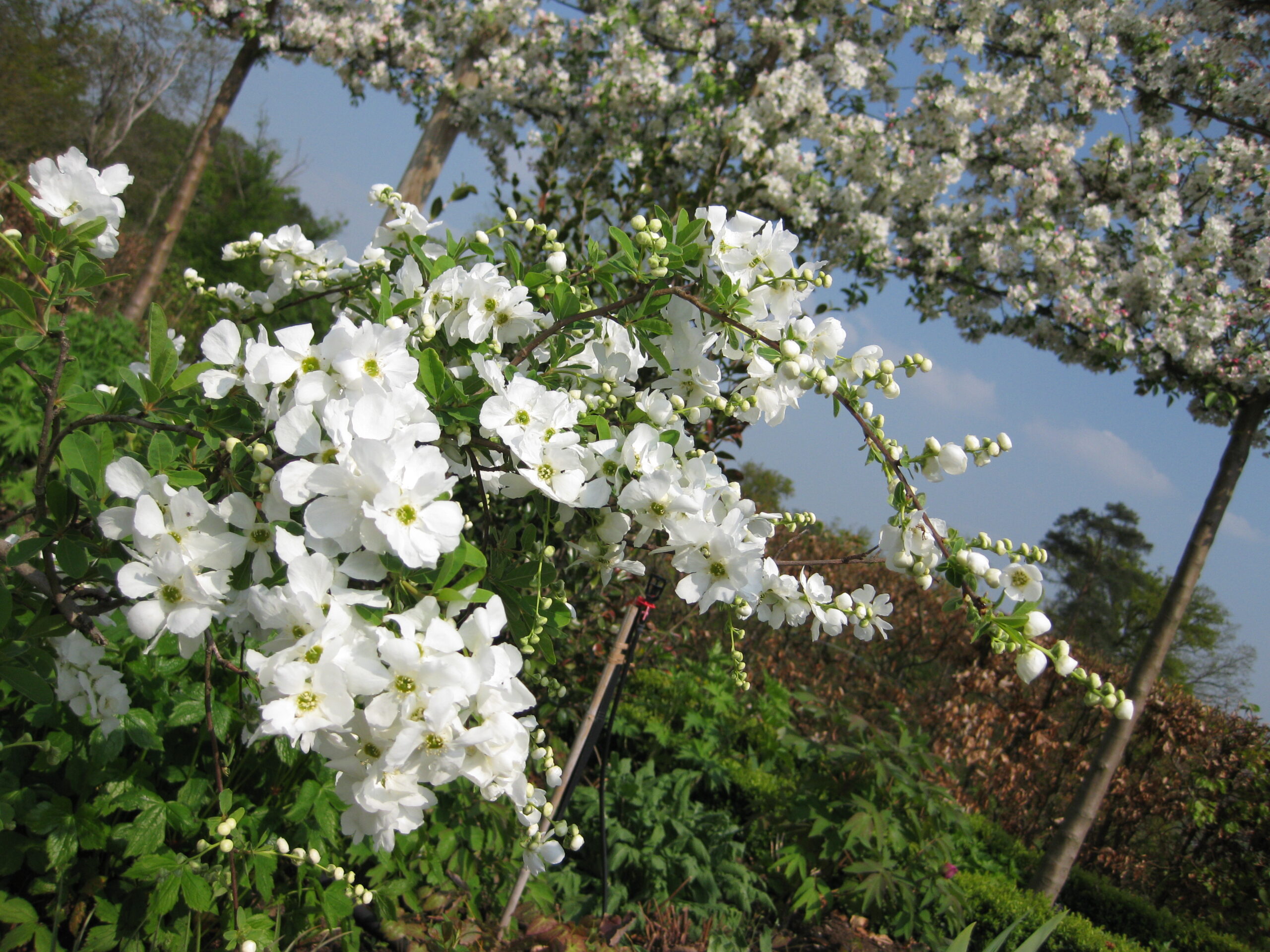 jardinier rambouillet