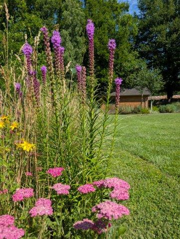 entretien fleur jardinier