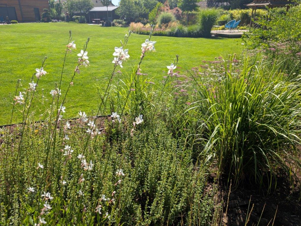 Jardinage aux Essarts le Roi