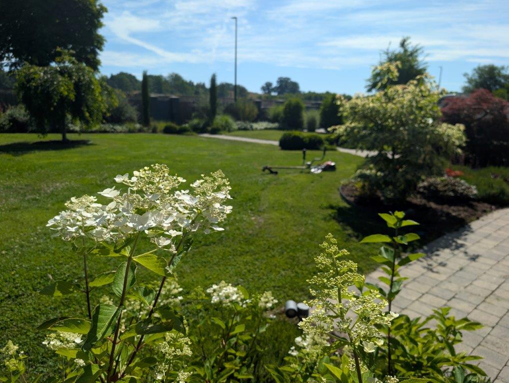 Jardinier saint arnoult en yvelines