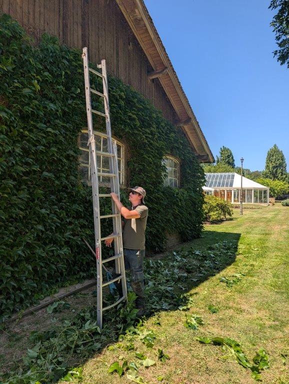 Jardinier paysagiste à Saint Arnoult en Yvelines